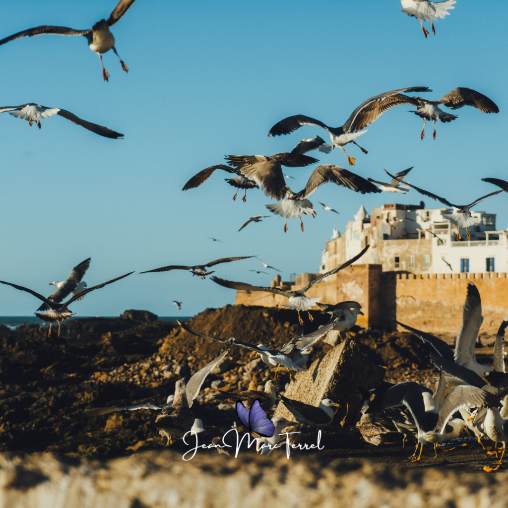 Méditation pleine conscience Essaouira